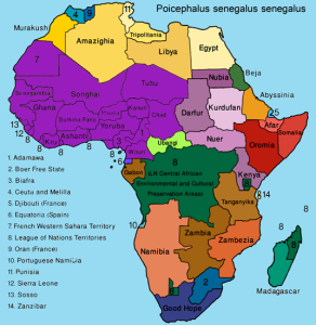 map-poicephalus_senegalus_senegalus
