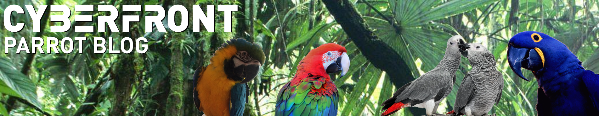 cropped-Blog-Parrots.png